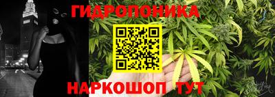 индика Волжский
